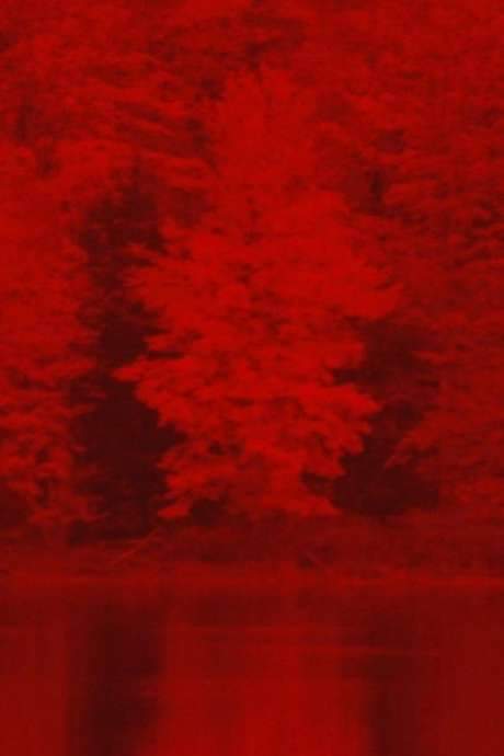 Ride Like Lightning, Crash Like Thunder